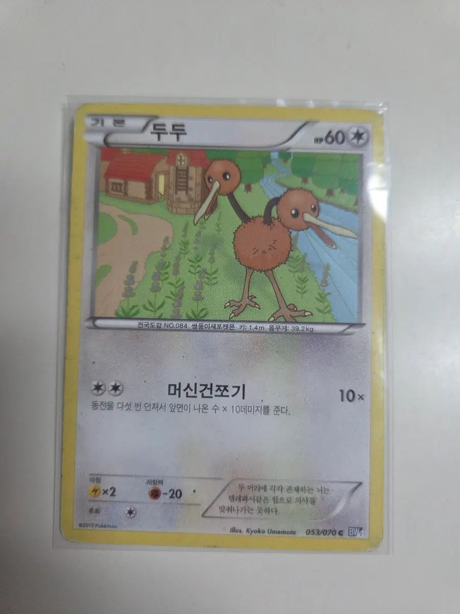 포켓몬 카드 BW시리즈 두두
