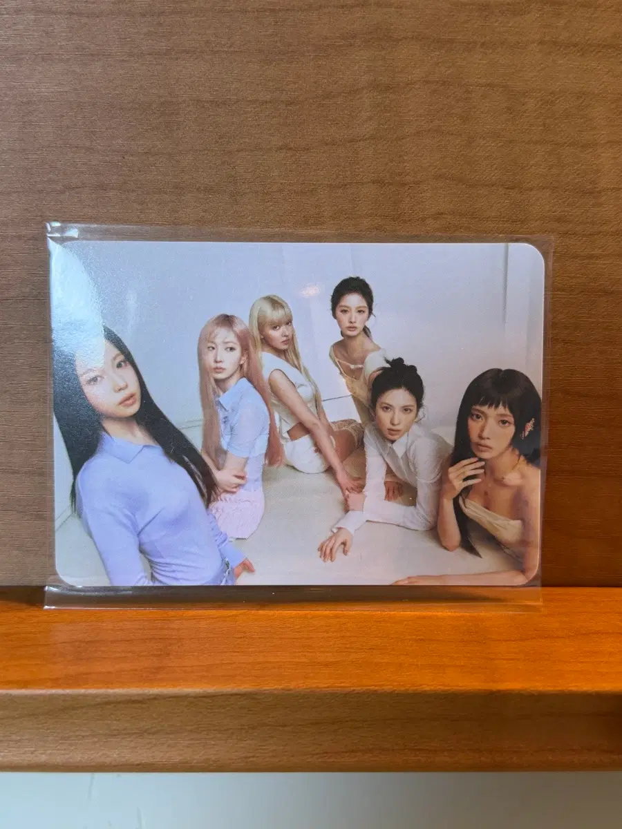 엔믹스 단체포카 위드뮤