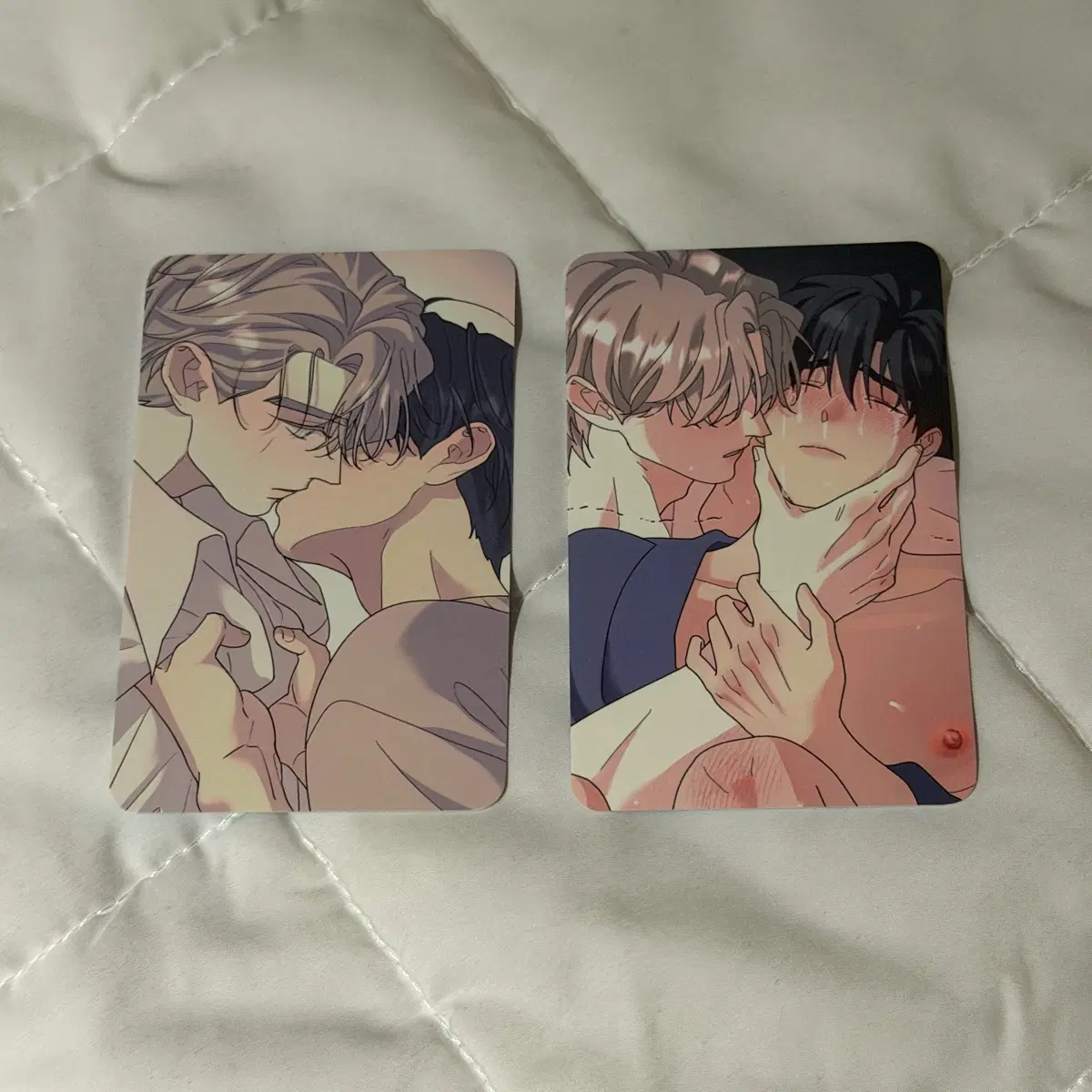 뿌리 없는 나무 뿌없나 레봄 포토카드 일괄