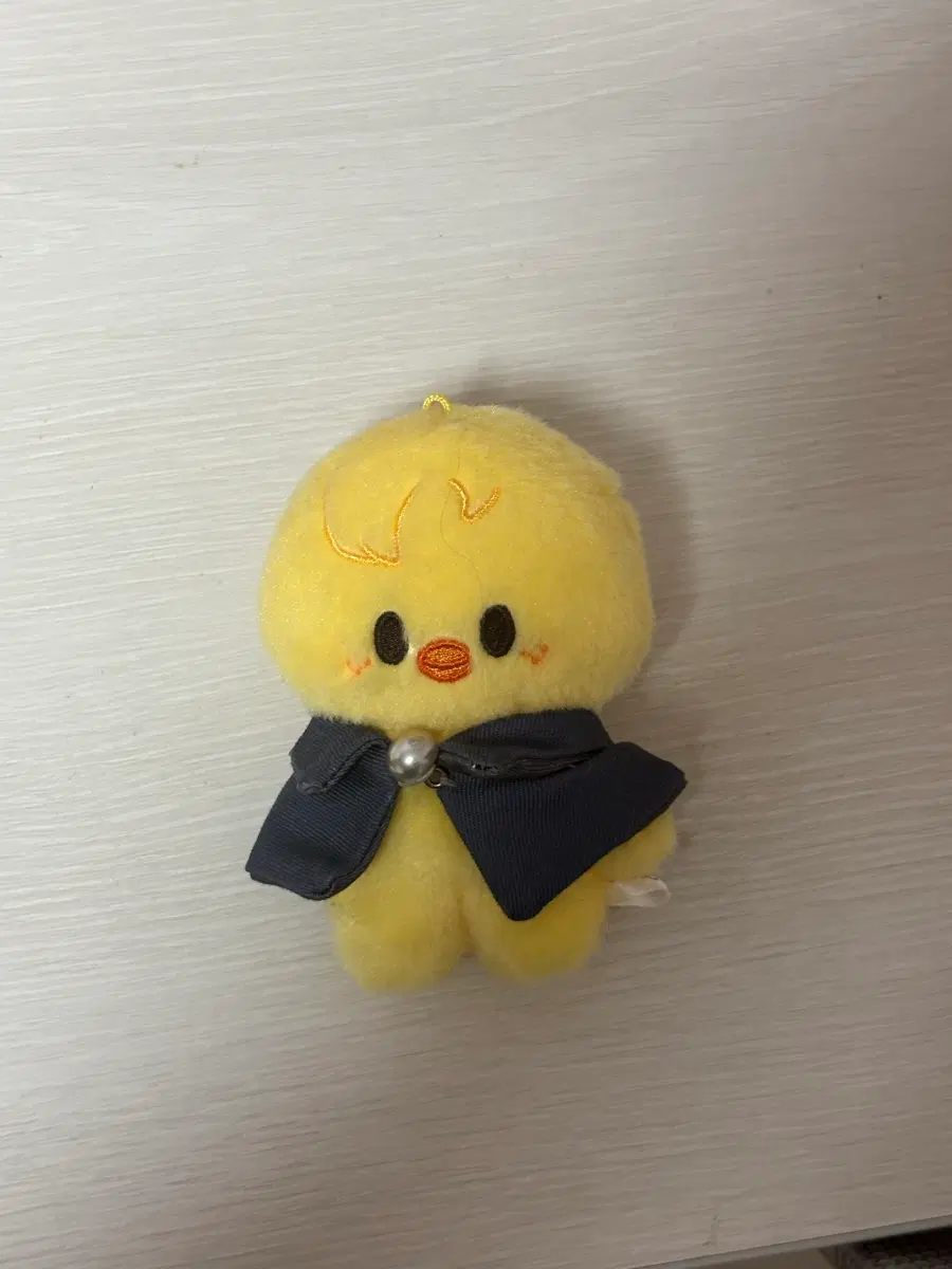 뽁아리