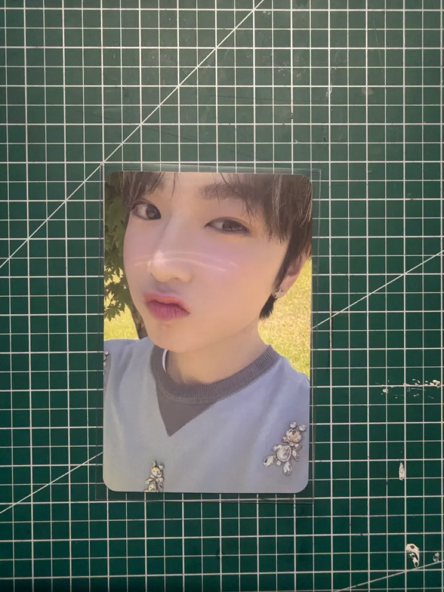 엔시티 사쿠야 포카