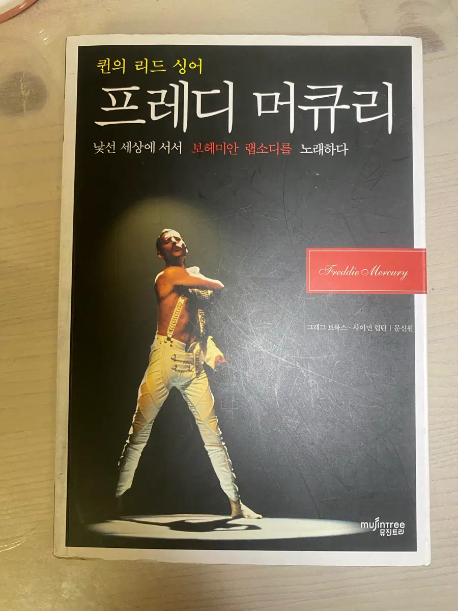 프레디머큐리 책