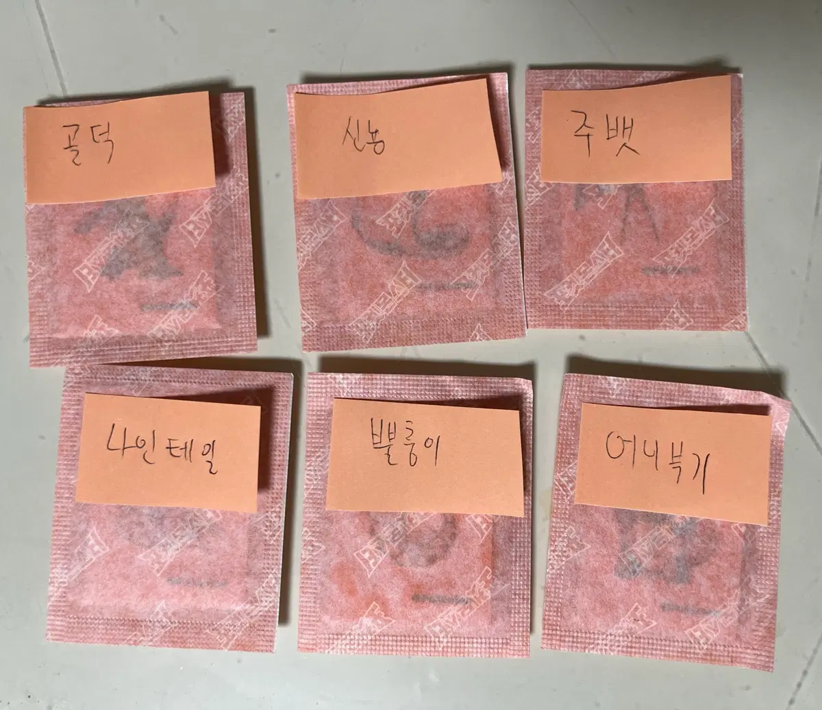 포켓몬 30주년 아트워크 띠부씰