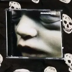 람슈타인 rammstein cd 판매