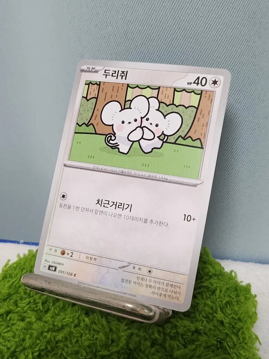 두리쥐 C 한글판 일반 커먼 포켓몬 카드
