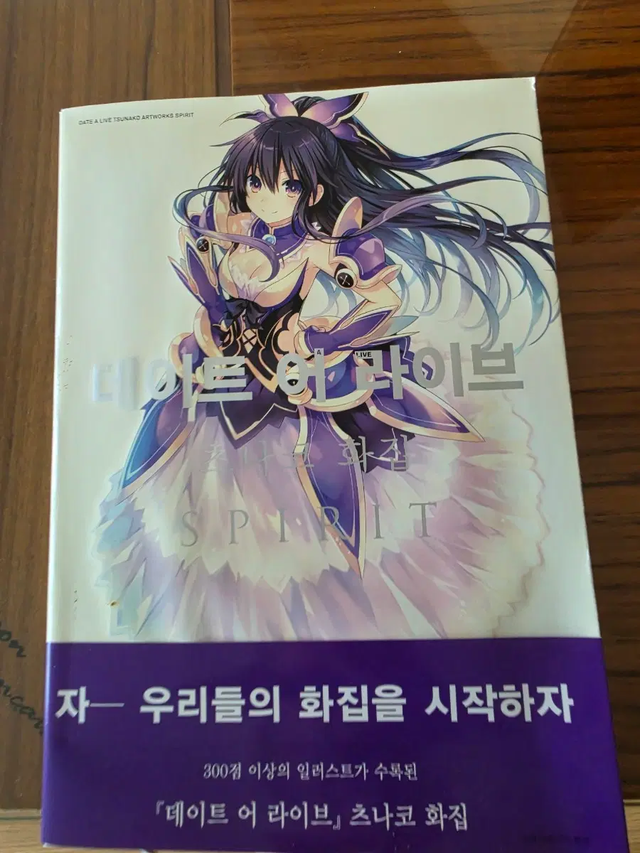 츠나코 화집