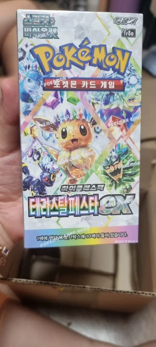 포켓몬스터 카드박스 테라  7박스 팜