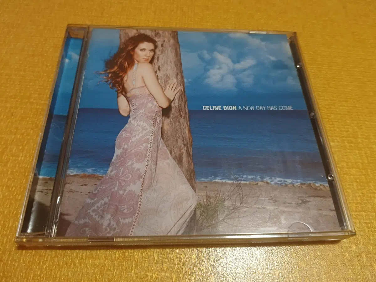 셀린 디온 Celine Dion - A new day has come CD