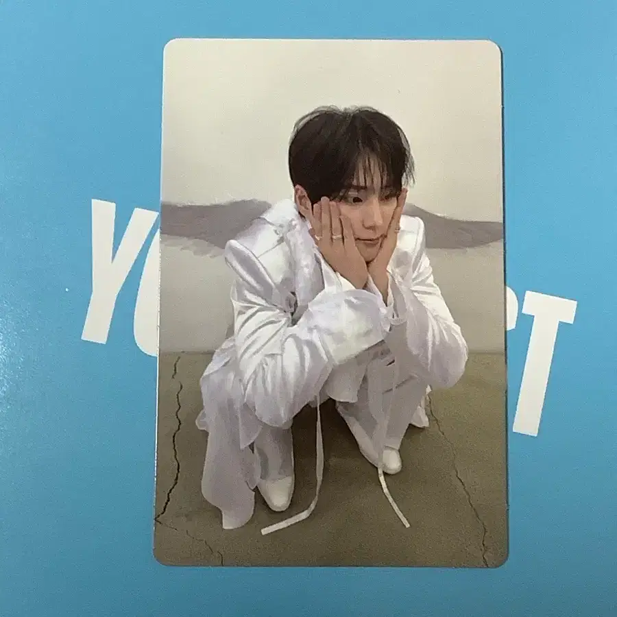 데이식스 영케이 영기스트 월렛 포카