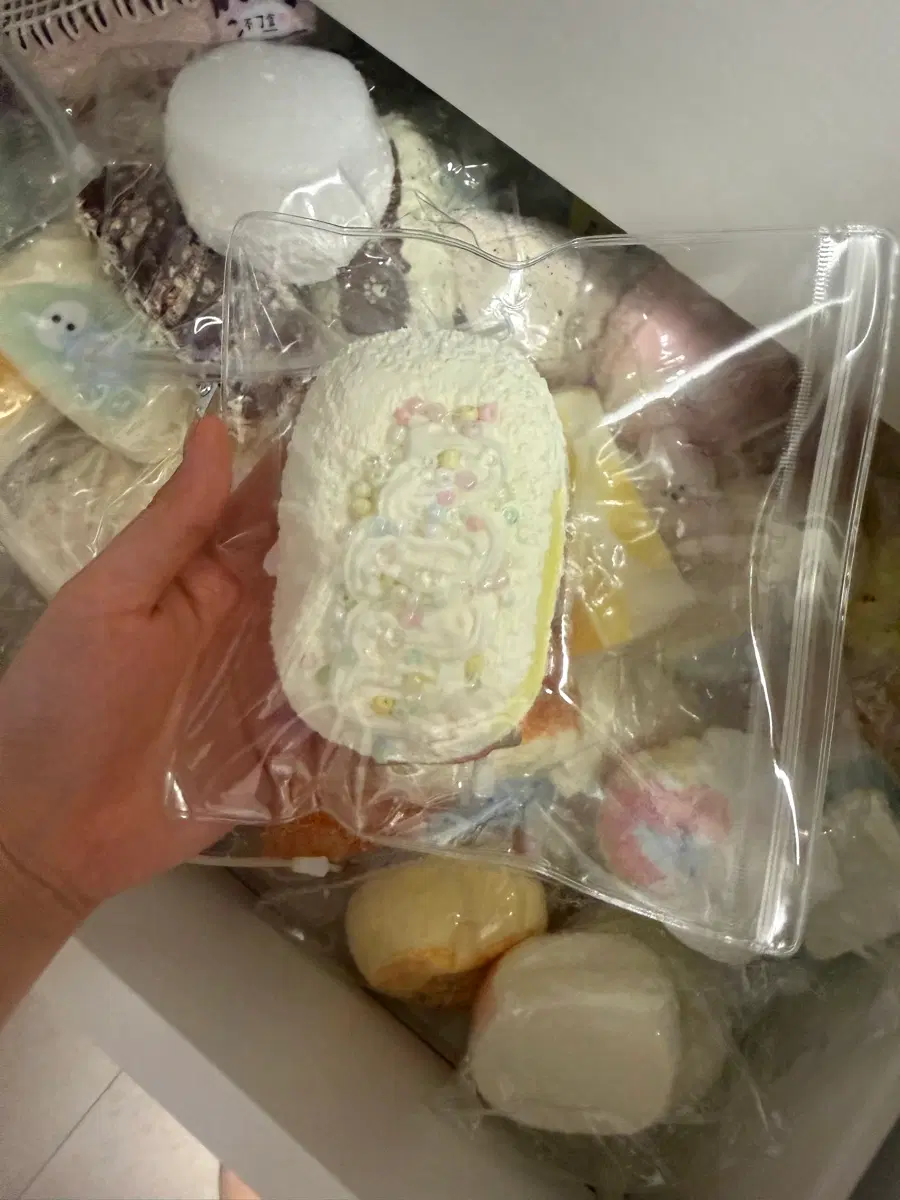 줄집 택이네 말랑이