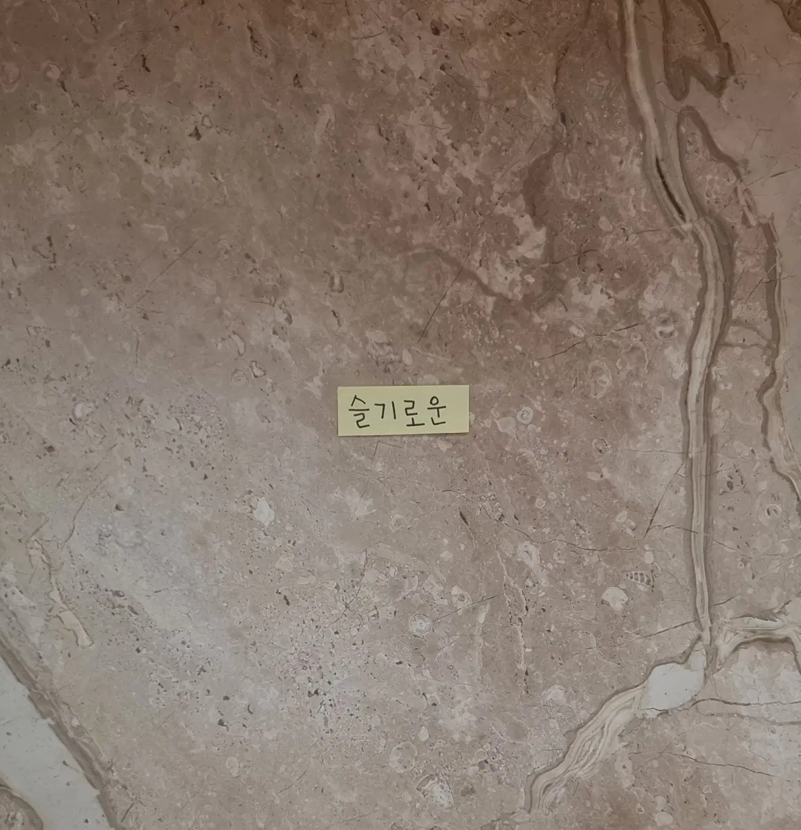 <힐렘입니다> 님 결제창