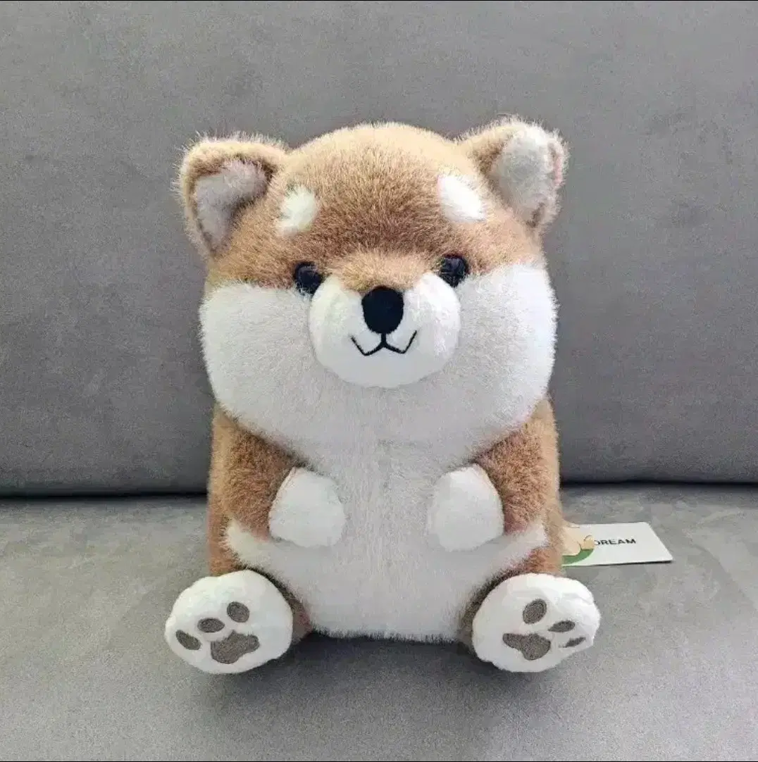 포카포카짱 시바견 브라운 28cm 중형 인형