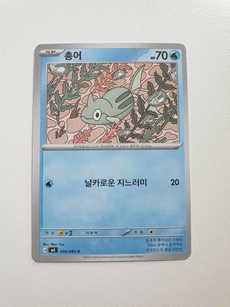 총어 포켓몬카드