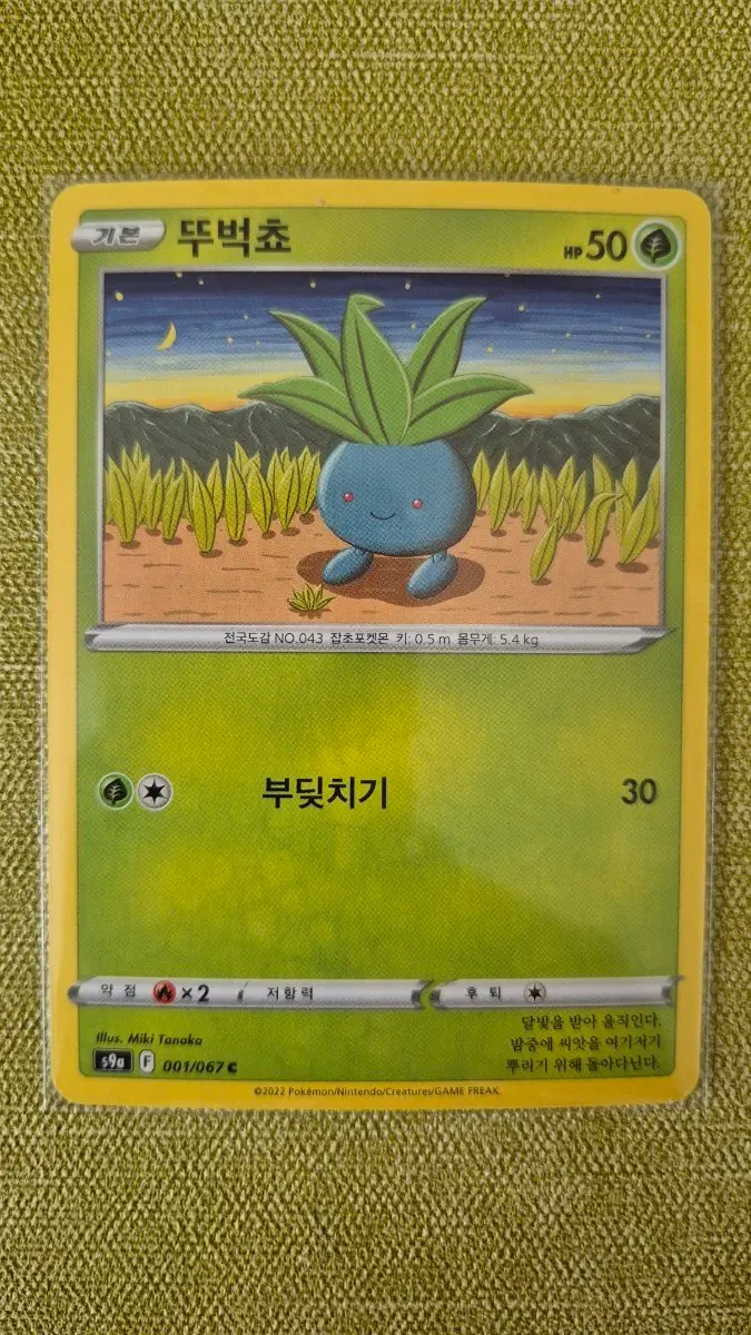 [포켓몬카드 한판] 뚜벅쵸 001/067C