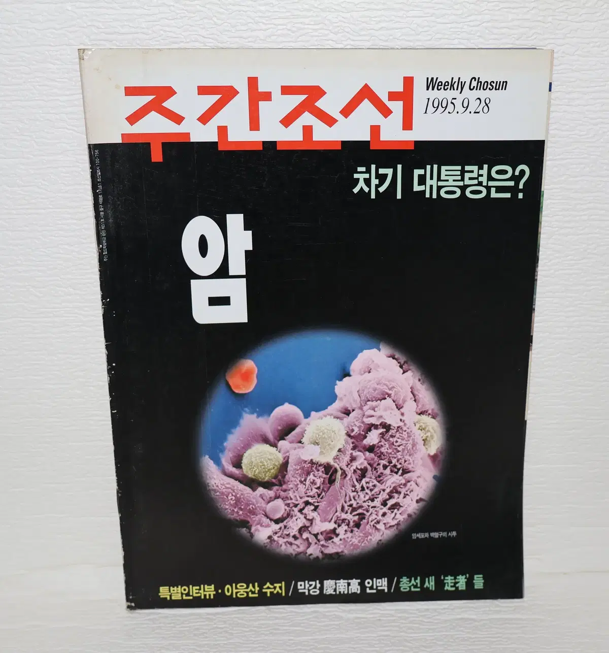 [서적 NO.28] 1995년 9.28 주간조선 책