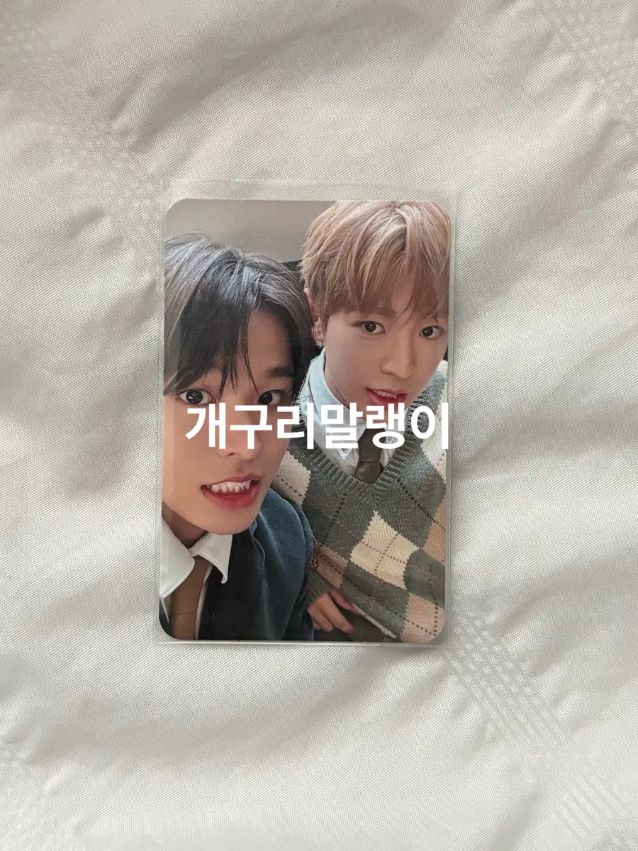 엔시티위시 쿠우쿠우즈 유우시 리쿠 포카