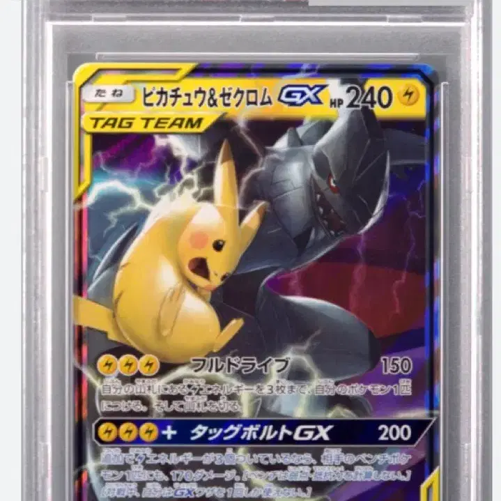 포켓몬 일판 2019 포켓몬 카드 피카츄&제크로무 태그팀 psa 10