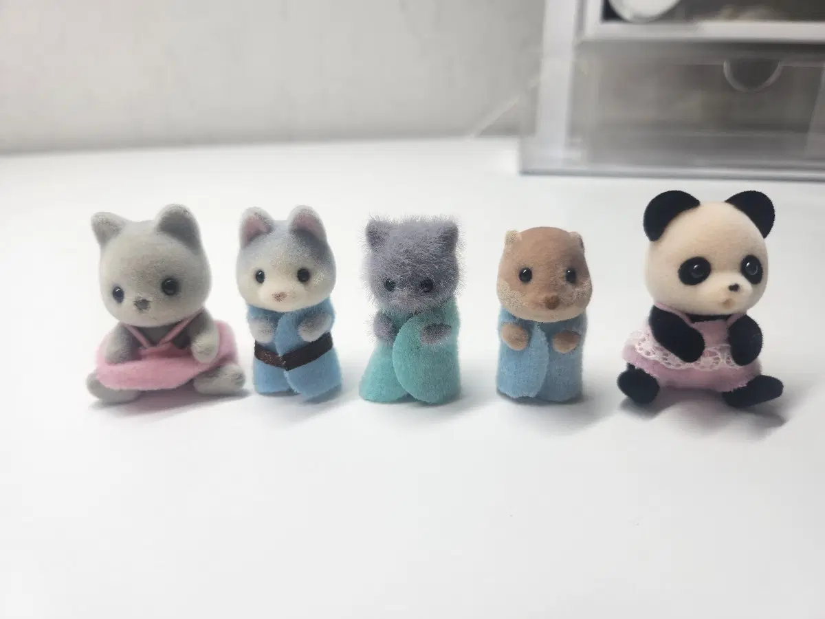 실바니안 일괄