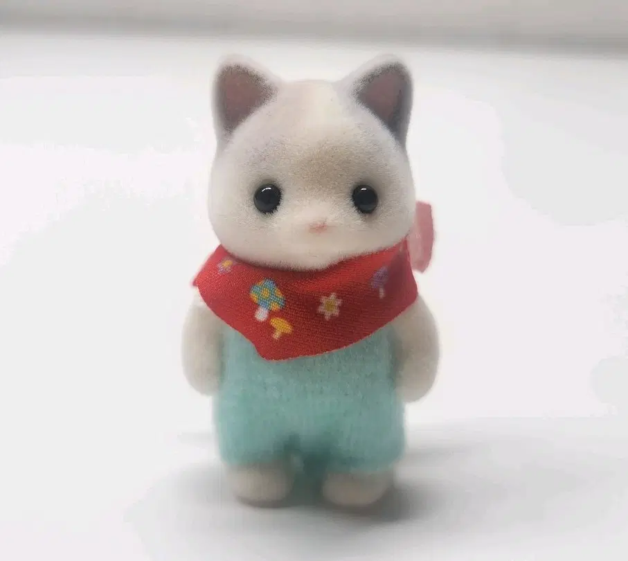 실바니안 쿠지 f상 라떼 고양이