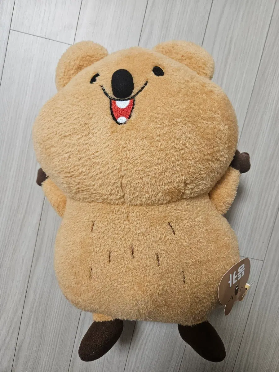 쿼카 인형 40cm 택달림 뚱카 뚱뚱한 쿼카