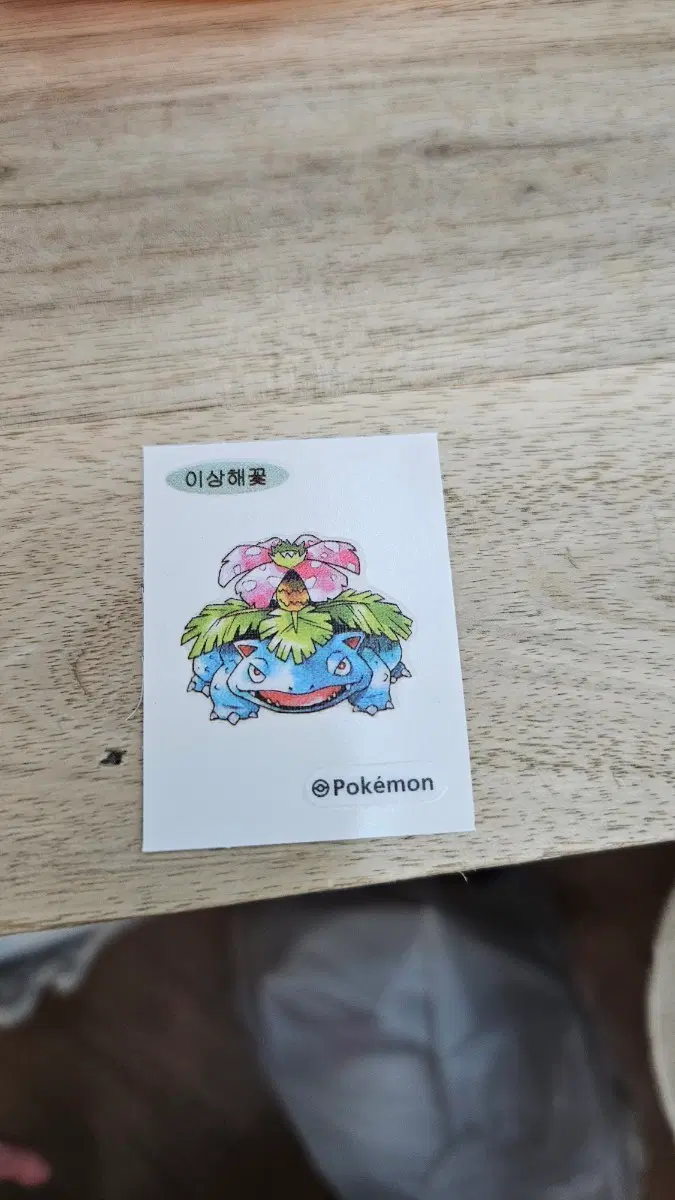 포켓몬 이상해꽃 띠부실