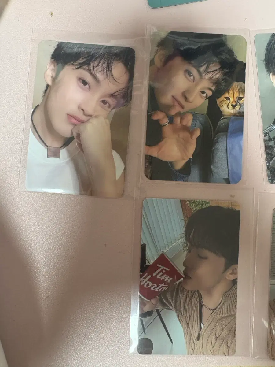 마크 포카 판매