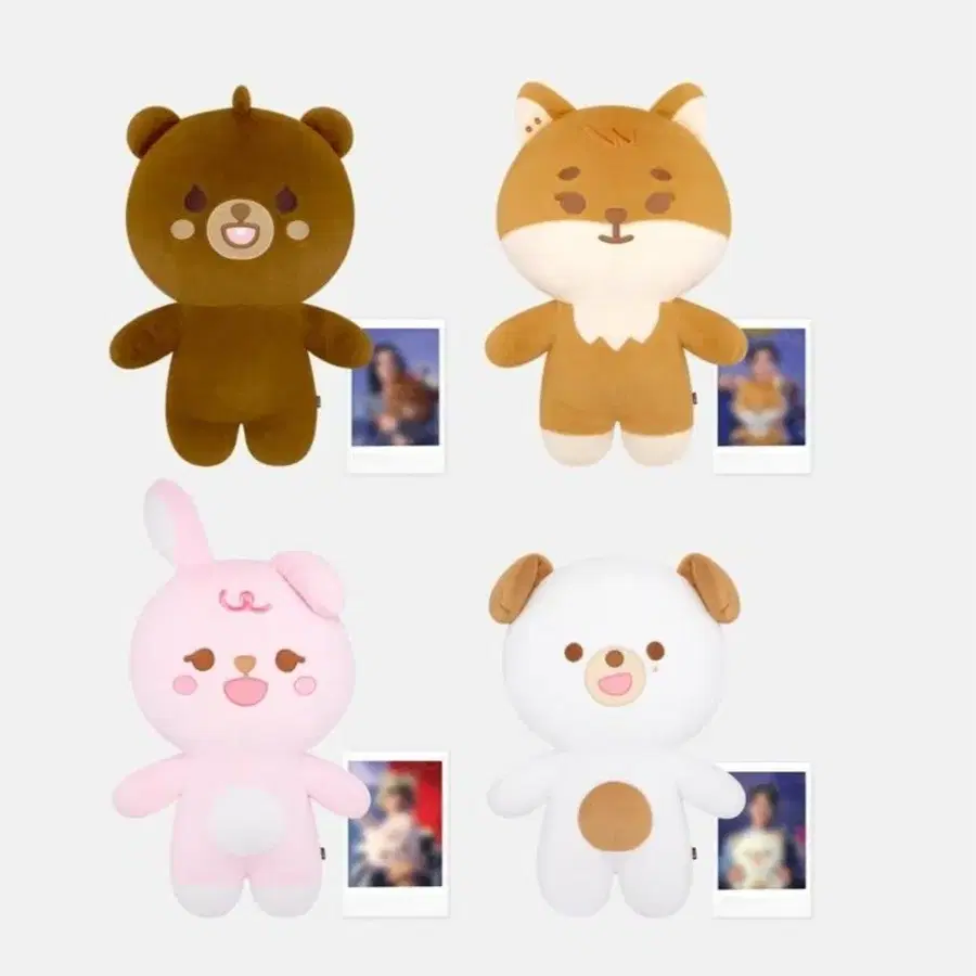 데이식스 쁘띠멀즈 자이언트 방케필돈 일괄 새상품 원가이하양도 + 아크릴스탠드 새상품