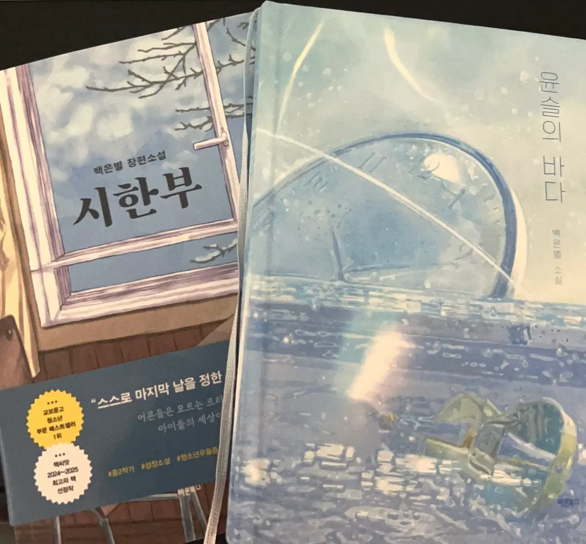 백은별 장편소설 시한부 / 윤슬의 바다 판매합니다 (개별 구매 가능)