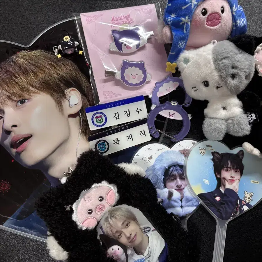 엑디즈 지덕 냥듀 명찰 굿즈 가온 정수