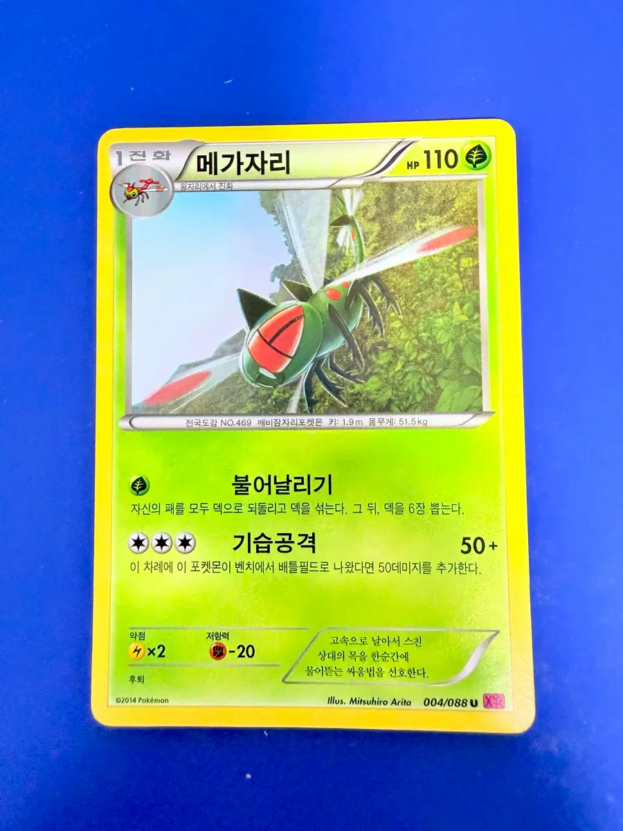 포켓몬카드 2014년 고대카드 XY 메가자리 카드