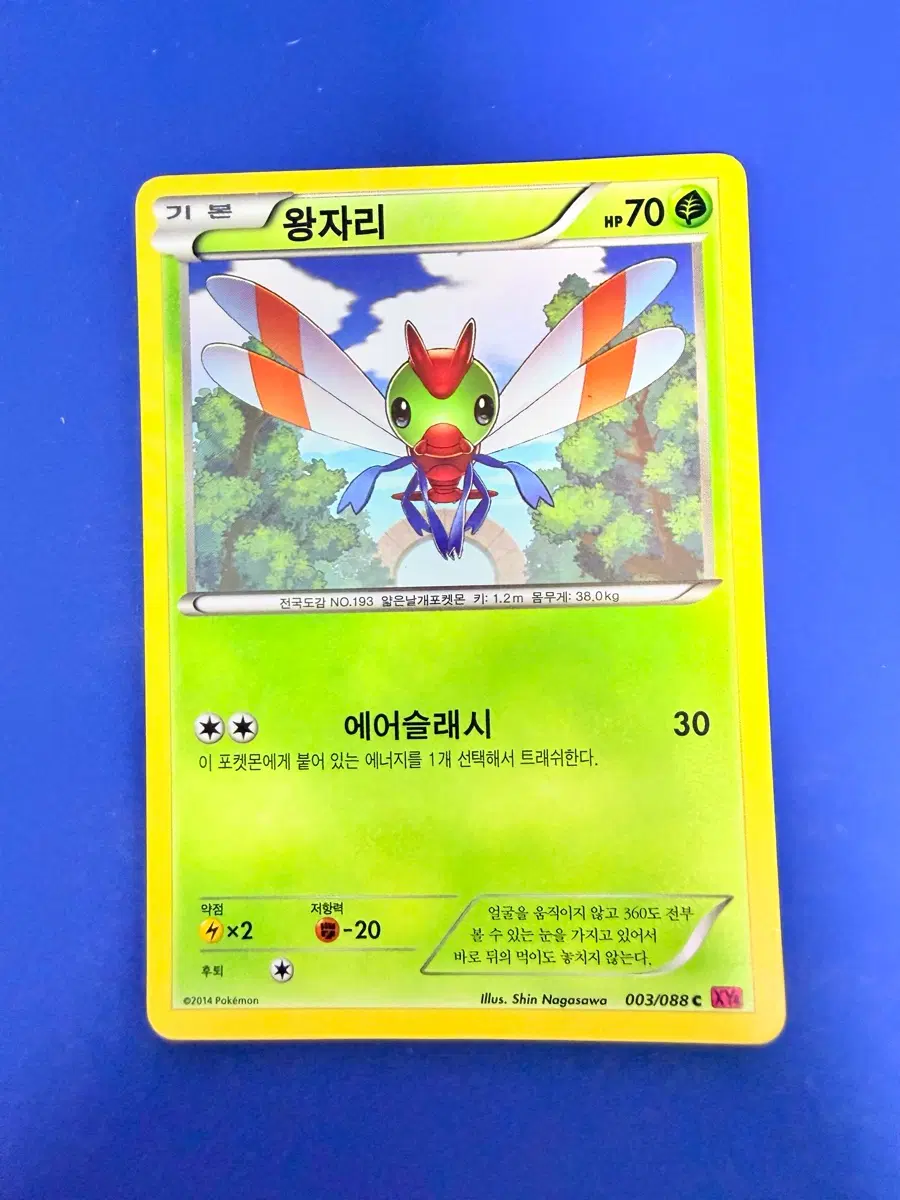 포켓몬카드 2014년 고대카드 XY 왕자리 카드