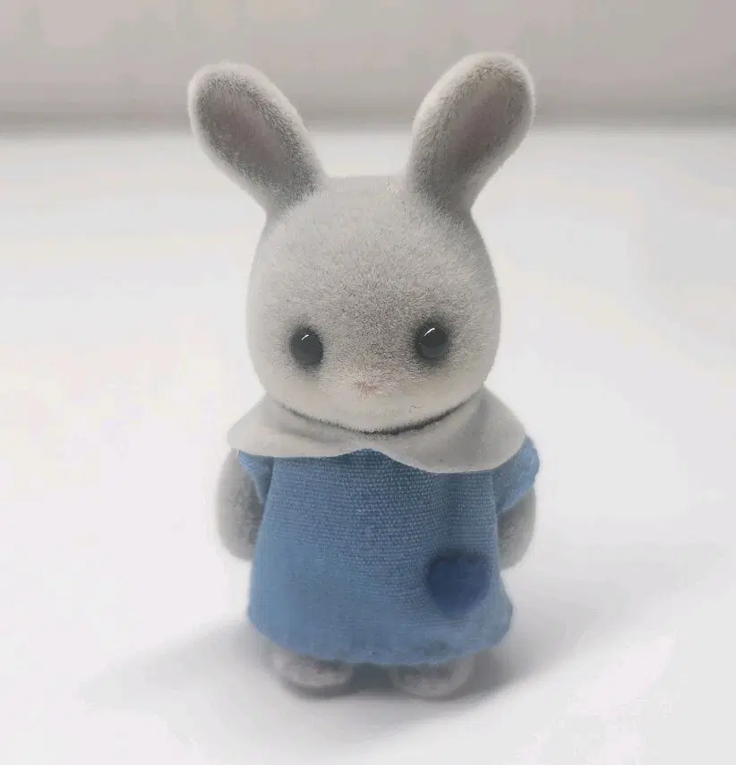 실바니안 솜토끼