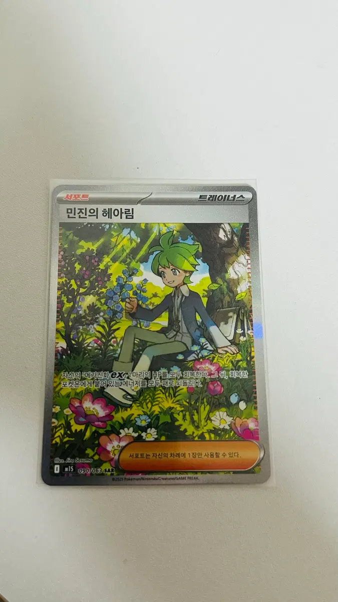 민진의 헤아림 sar