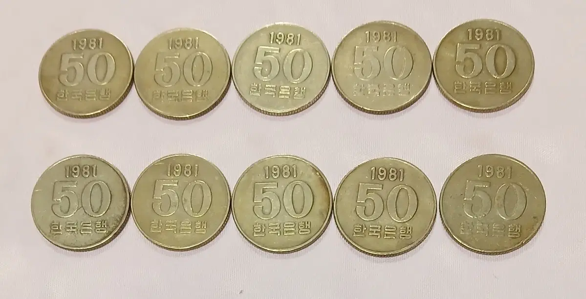 1981년 50원 동전 10개 일괄