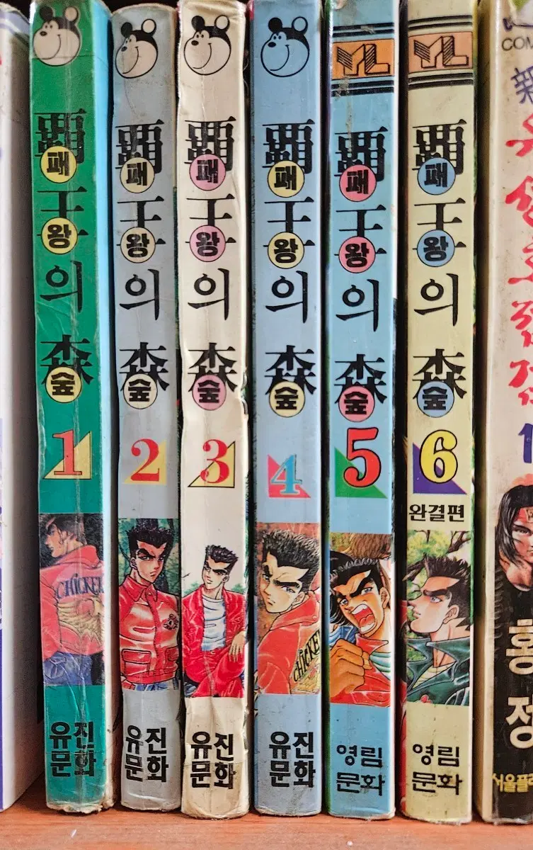 패왕의 숲1-6완