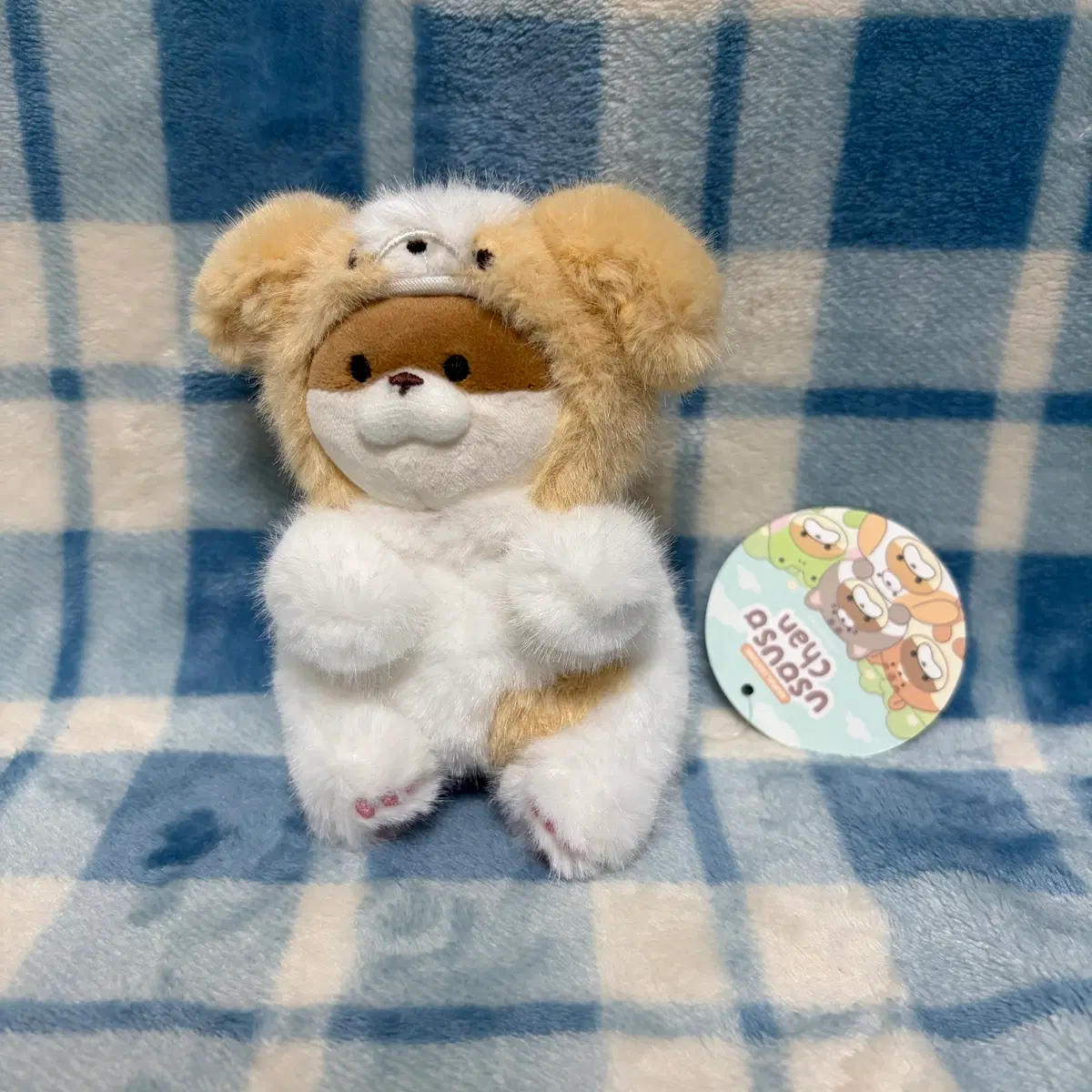 동물코스튬 우소우소짱 (강아지, 12cm) 키링