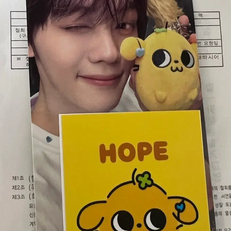 앤더블 앤버스 인형 팝업 김규빈 규빈 망댕이 포카 특전