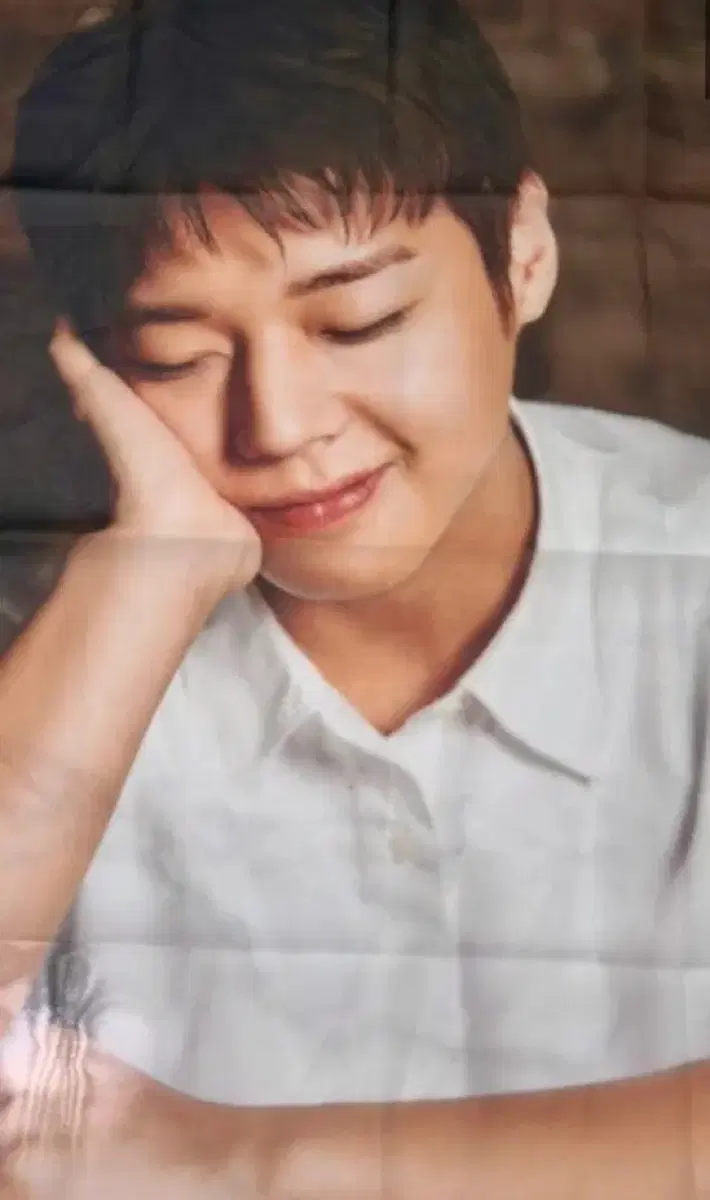 기영이 숯불 두마리 치킨 박지훈 패브릭 포스터 팝니다