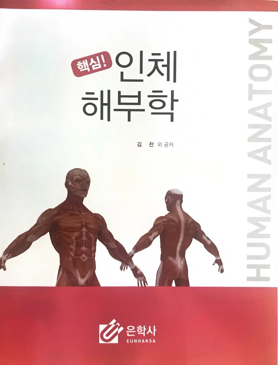 인체해부학 은학사