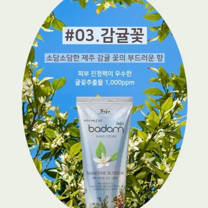 제주 바담 핸드크림 03 감귤꽃