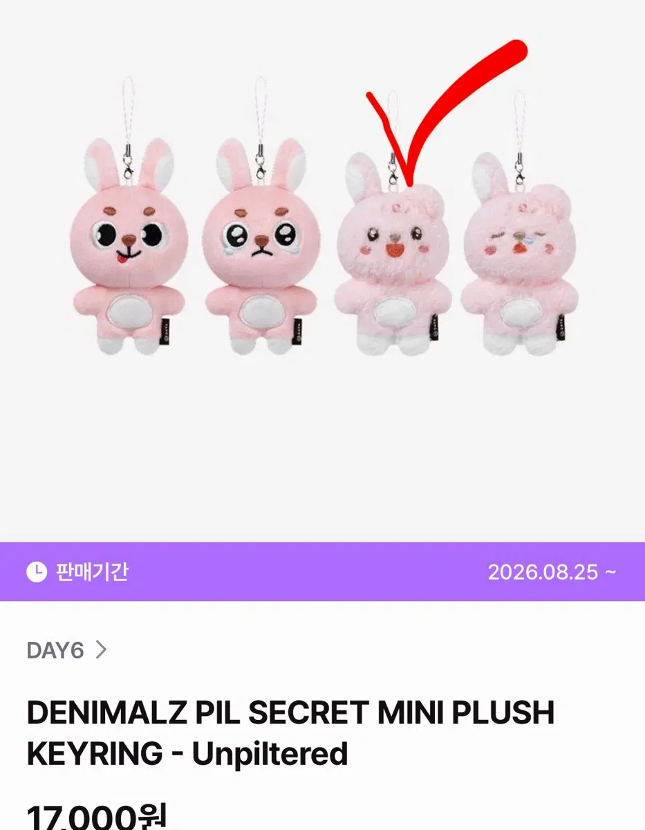 데이식스 원필 언필터드 시크릿 키링 초롱이