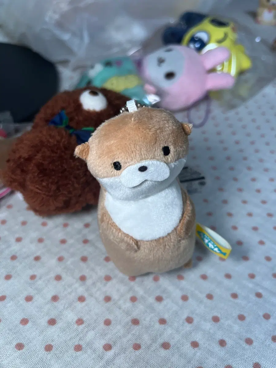 수달인형