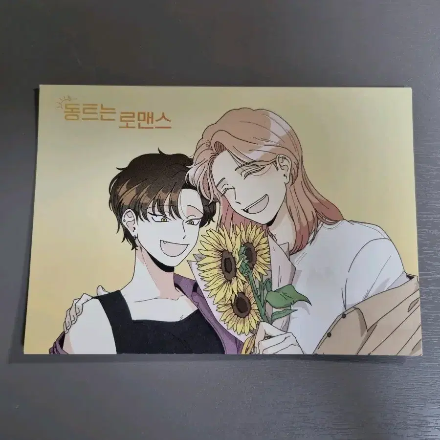 동트는 로맨스 엽서 팔아요