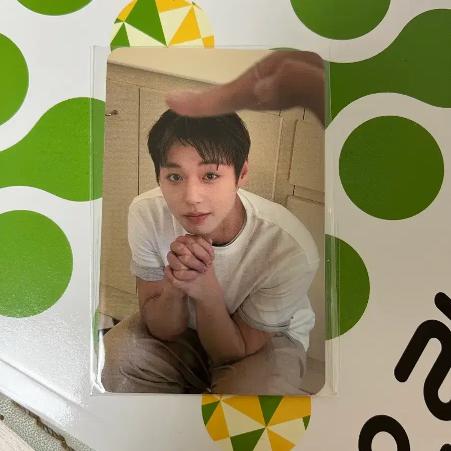 박지훈 포맨트 포카 판매 (미개봉 새상품)