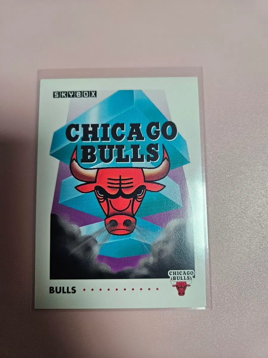 NBA)시카고 불스 1991 Skybox 팀카드