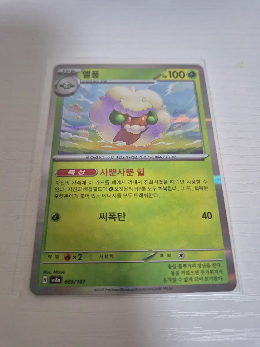 포켓몬 테라스탈 카드 엘풍 (sv8a 005)
