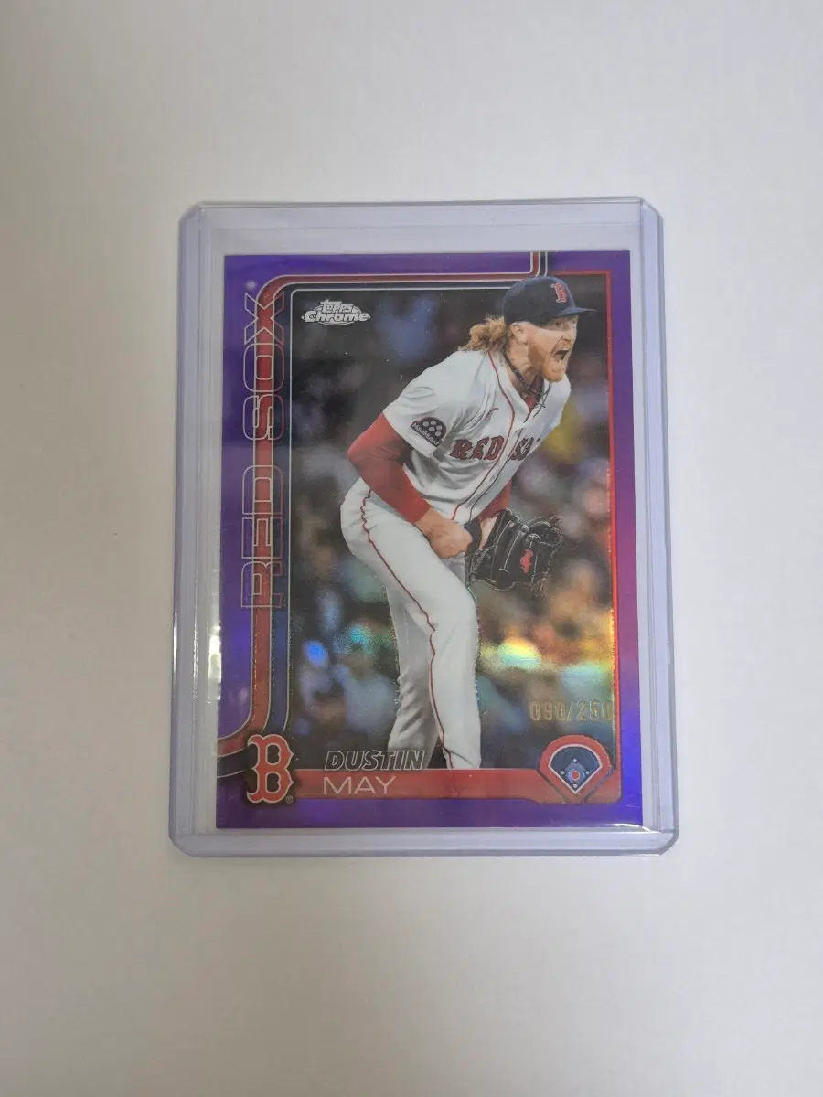 MLB topps 더스틴 메이 250한정 펴플 카드