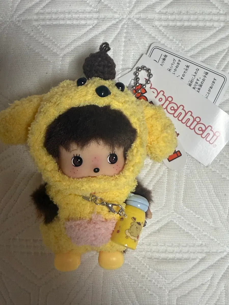 폼푸 베베치치