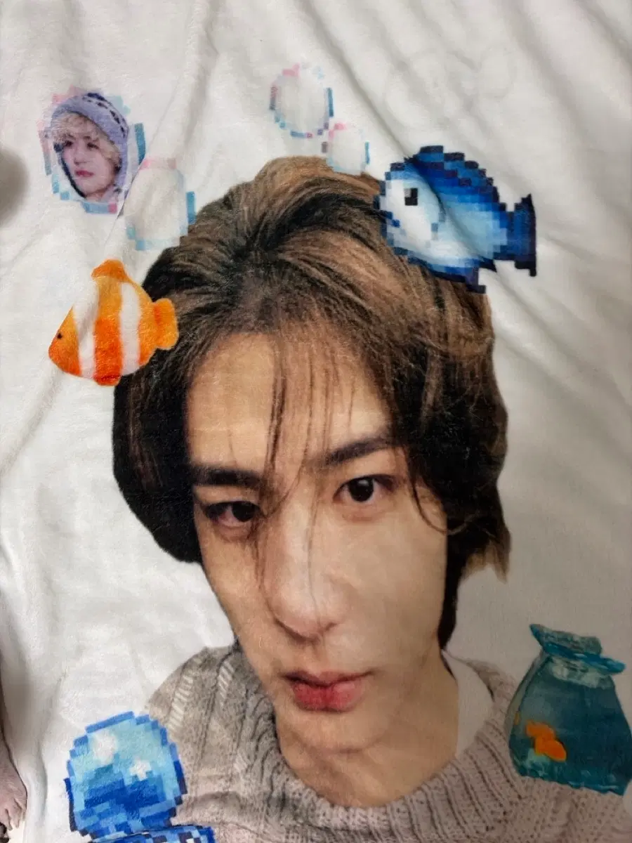 이한 담요 판매