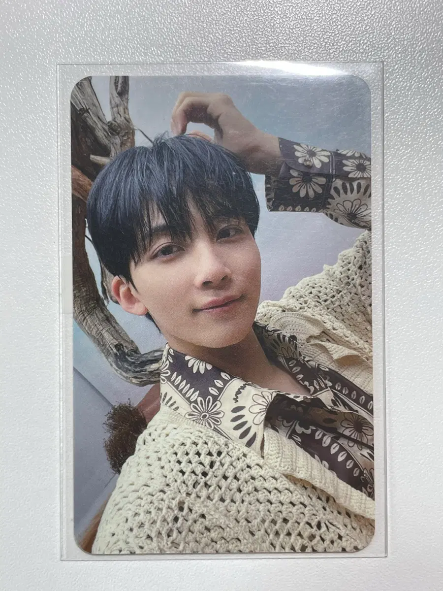 세븐틴 정한 페더썬 위버스 예사 특전